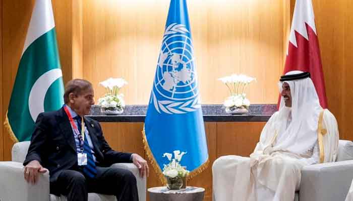 Prime MInister Shehbaz Sharif meets Amir of Qatar Sheikh Tamim bin Hamad Al Thani during his viist to Doha. —PMO