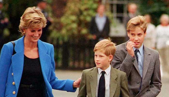 Prince Harry recalls big piece of his mother Princess Dianas legacy