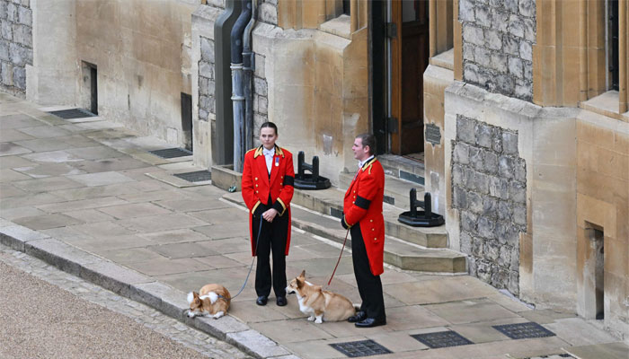 Queen Elizabeth’s corgis take centre stage at London exhibition