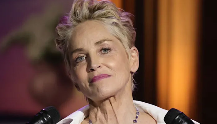 Basic Instinct costed my child custody: Sharon Stone