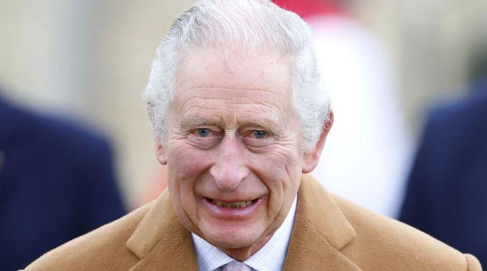 King Charles’ plan for ‘slimmed down’ monarchy seemingly hindered