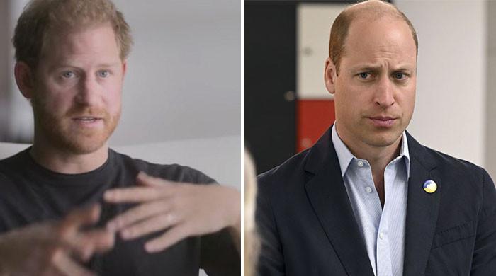 Prince Harry ‘needs more money’ than Prince William