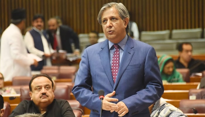 Federal Law Minister Azam Nazeer Tarar speaking on the floor of the Senate in this undated picture. — APP/File