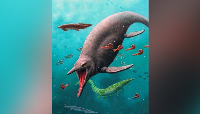 An artists reconstruction shows the earliest-known Ichthyosaur, along with other marine creatures in the 250-million-year-old ecosystem found on the remote Arctic island of Spitsbergen, Norway, in this undated handout image. — Reuters/File