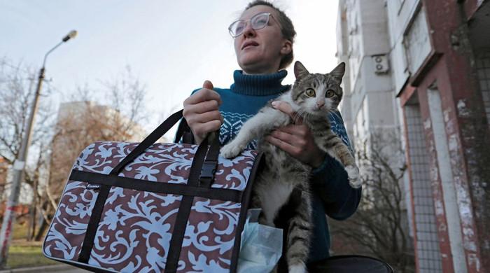 Having pets may 'hinder your peaceful sleep'