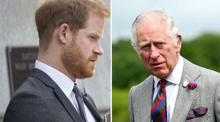 King Charles has ‘finally found Prince Harrys ‘kryptonite
