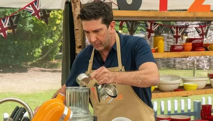 David Schwimmer was so likeable on The Great Celebrity Bake Off