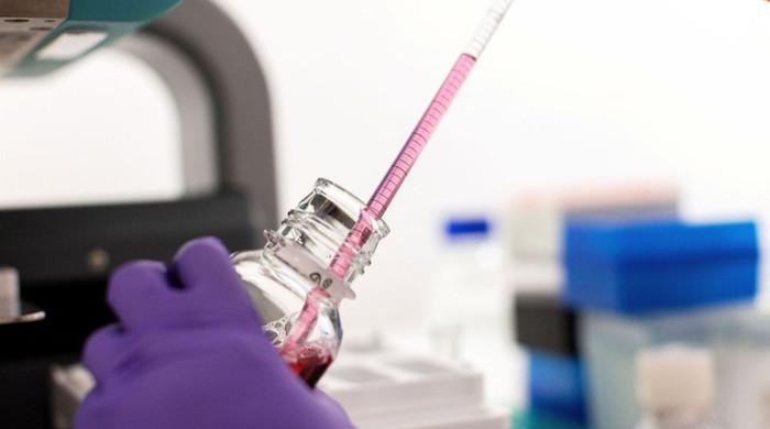 Bird flu shots being made for humans as 'precautionary measure'