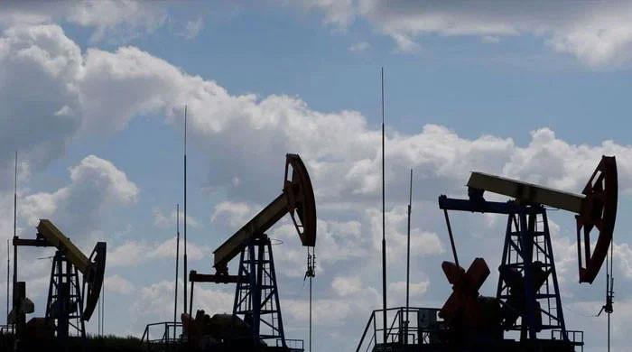 Pakistan-Russia final crude oil import talks start today in Karachi