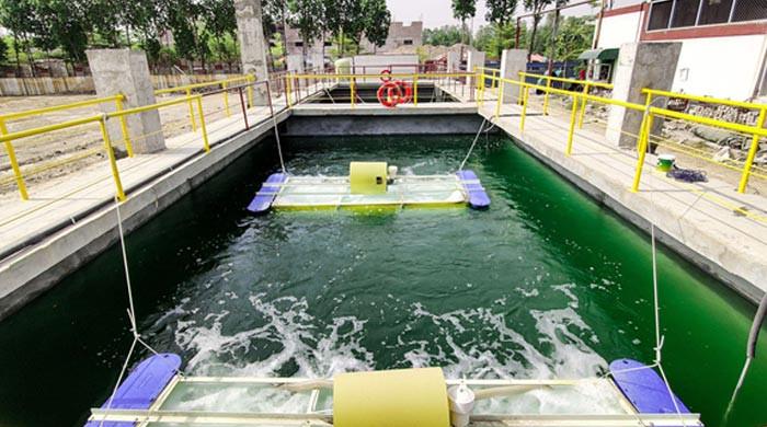 Diamond Paints — Greener Objective for Green Pakistan