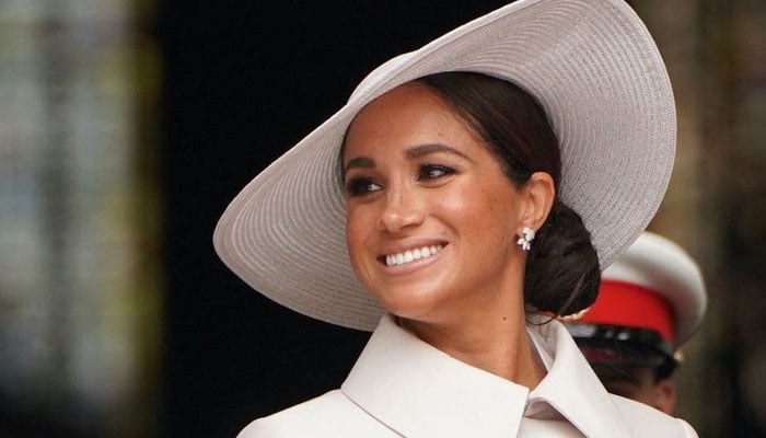 Meghan Markle warned of ‘public sentiment’ amid plans to relaunch her blog