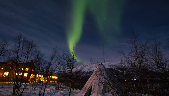 Breathtaking show put up in night sky for northern lights research - Vimarsana News