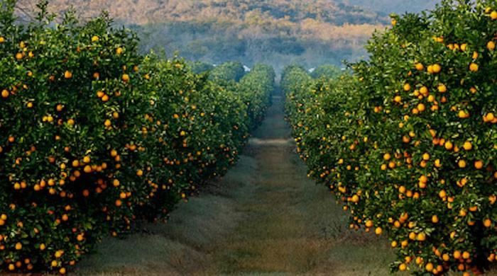 l_478347_094425_updates.jpg