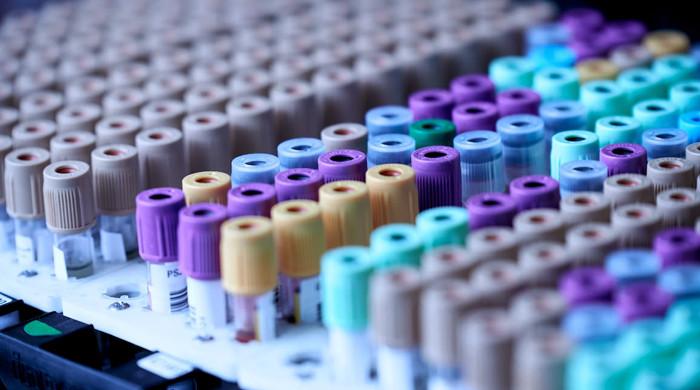 Roche teams up with Lilly to validate Alzheimer's blood test