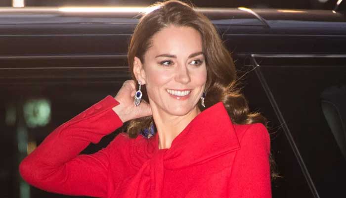 Kate Middleton redefining what a working member can actually achieve