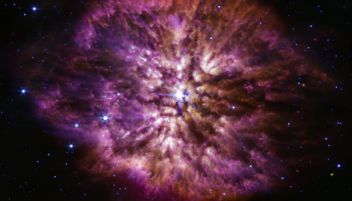 This rare sight is a super-bright, massive Wolf-Rayet star captured by James Webb Space Telescope. — NASA