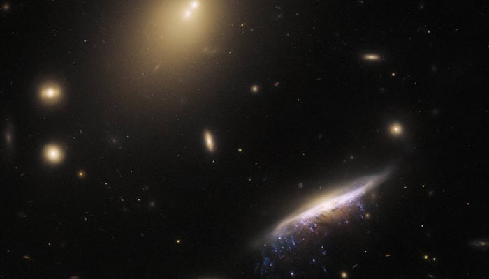 Hubble Space Telescope showing an image of JW100 on March 24, 2023. — NASA