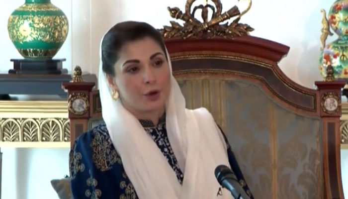 Pakistan Muslim League (PML-N) Senior Vice President Maryam Nawaz speaks to a delegation of her partys lawyers wing on March 26, 2023, in this still taken from a video. — Twitter/ @pmln_org