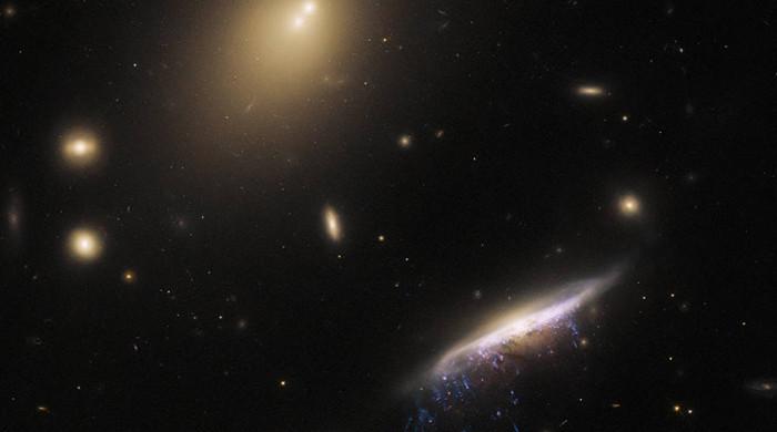 Hubble Telescope captures image of Galactic Jellyfish