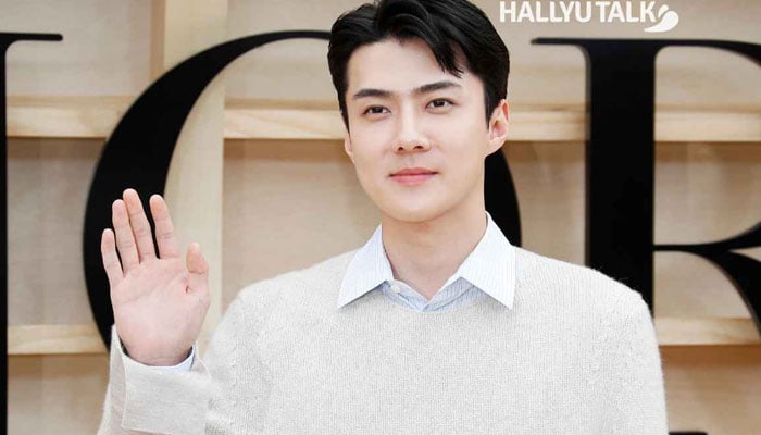 The allegations claimed that the idol had a significant other who was currently pregnant