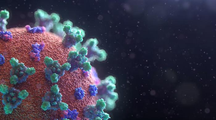New model may allow authorities to track rate of spread of COVID 19-like diseases