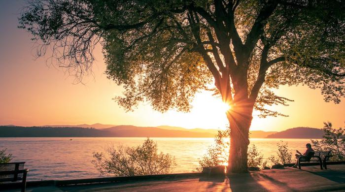 What source of Vitamin comes from the Sun? How is it helpful?