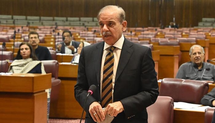 Prime Minister Shehbaz Sharif speaks during the National Assembly session in Islamabad on March 29, 2023. — Twitter/@NAofPakistan