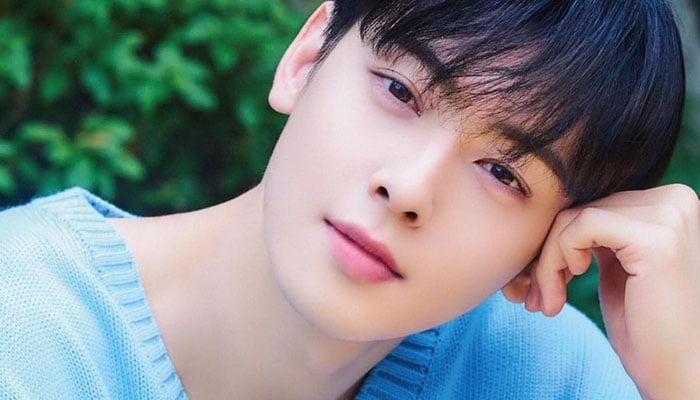 Cha Eun Woo Project Updates To Fans