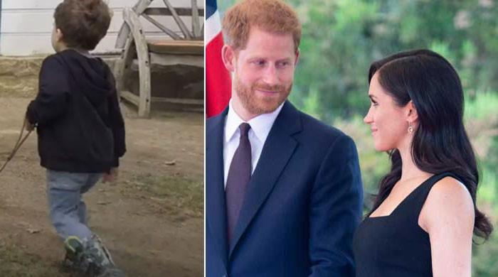 Video: Prince Harry's video of Archie on walk with family dog, Lilibet