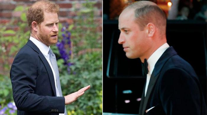 Prince William ‘needs more empathy’ for little brother Prince Harry