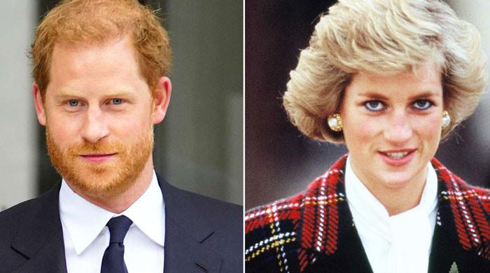 Prince Harry admits to having 'most elaborate dreams' about Princess Diana