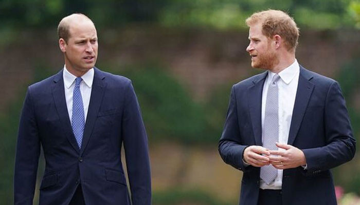 Prince Harry talks about 'typical weekend' evenings with Prince William - Vimarsana News