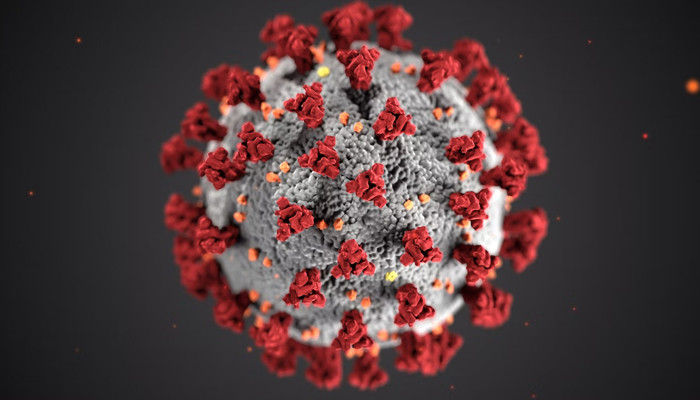 COVID-19 virus reduces immunity response before vaccination: study - Vimarsana News