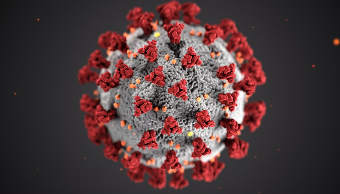 A representational image of a coronavirus cell. — Unsplash/File