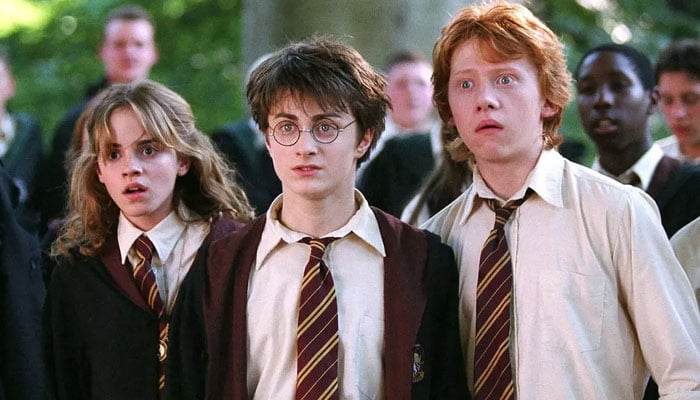 Desi Harry Potter in the works?