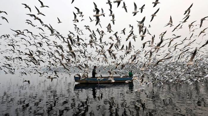 Islam and environment