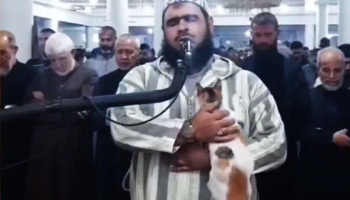 WATCH: Cat jumps on imam during Taraweeh prayers