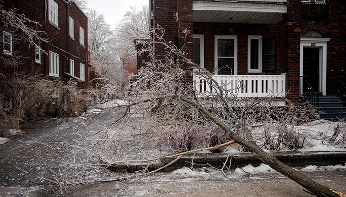 Tree branches are seen in Monkland Village after freezing rain hit parts of Quebec and Ontario in Montreal, Canada, on April 5, 2023.AFP