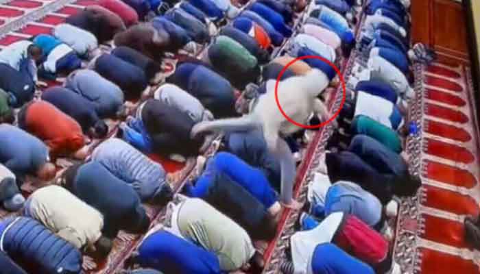 The picture shows armed assailant running to attack the imam in Paterson, New Jersey. — Twitter screengrab/@paykhar