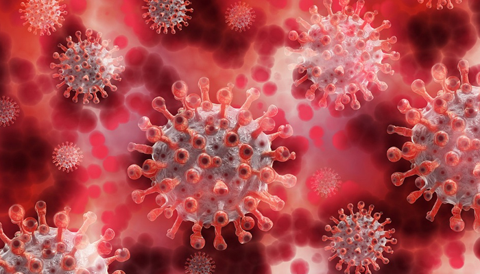 Cells of the COVID-19 virus can be seen in this representational image. — Poixabay/File