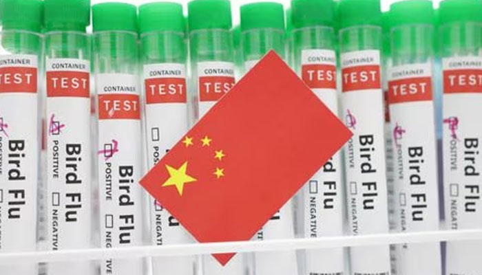 Test tubes labelled Bird Flu and a piece of paper in the colours of the Chinese national flag are seen in this illustration, January 14, 2023. Reuters