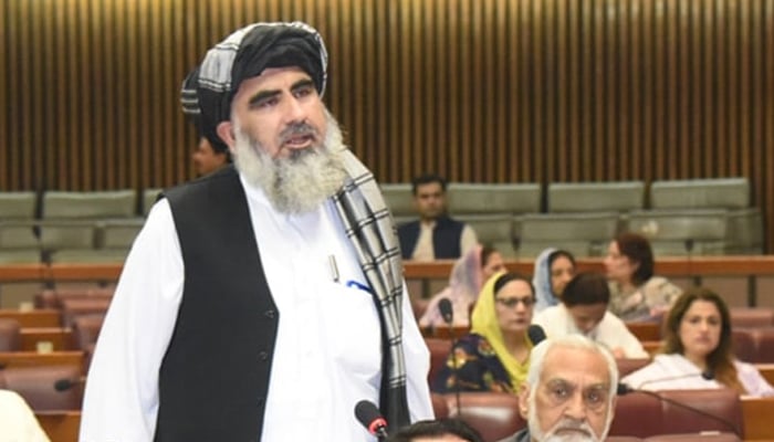 Federal Minister for Religious Affairs Mufti Abdul Shakoor speaks during a National Assembly session in  this undated photo. — Twitter/NAofPakistan