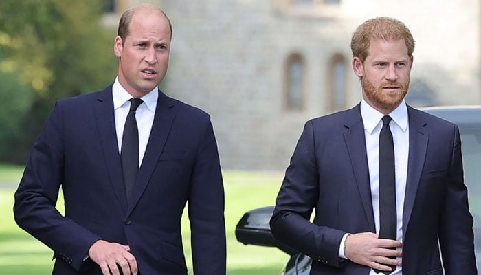 King Charles speaks of his pride in William and Harry