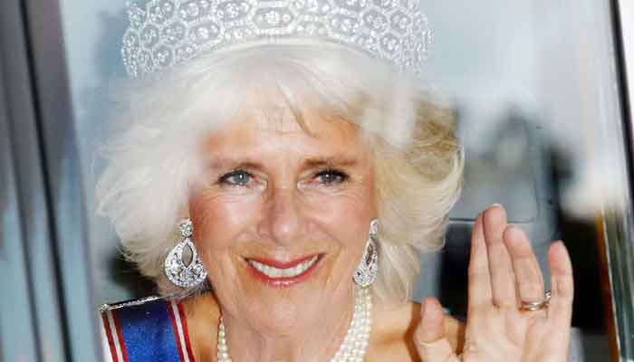 Queen Camilla - King Charles heroine, Prince Harrys villain