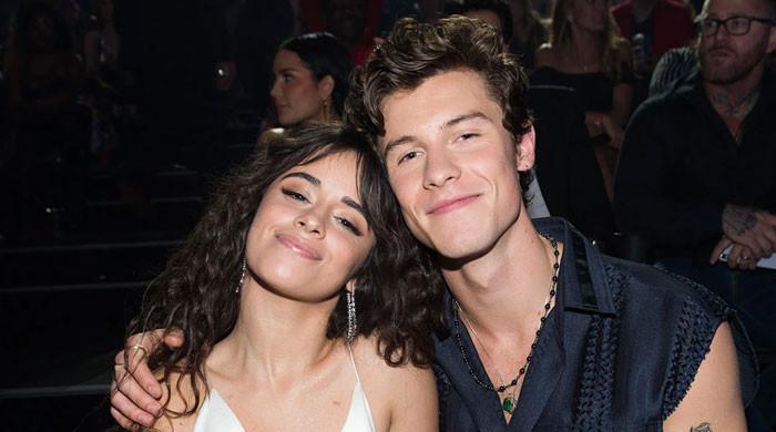 Shawn Mendes and Camilla Cabello ‘looked like a couple’ at Coachella
