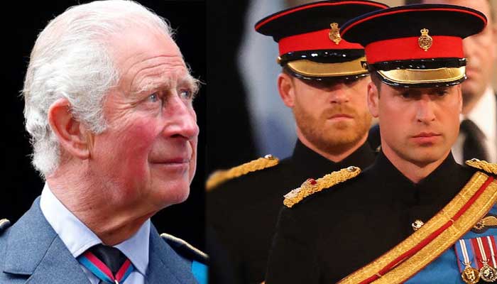 King Charles gives shout out to his sons Prince William, Harry during speech at Sandhurst