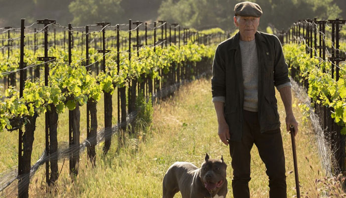 Star Trek: Picard EP sheds light on series