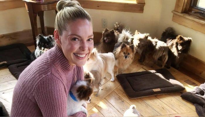 Katherine Heigl launches Shopify store for the love of animals