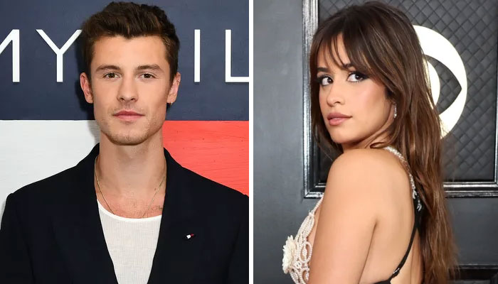 Shawn Mendes, Camilla Cabello reunion reportedly going smoothly