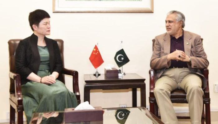 Chinese language envoy assures Pakistan of continued assist